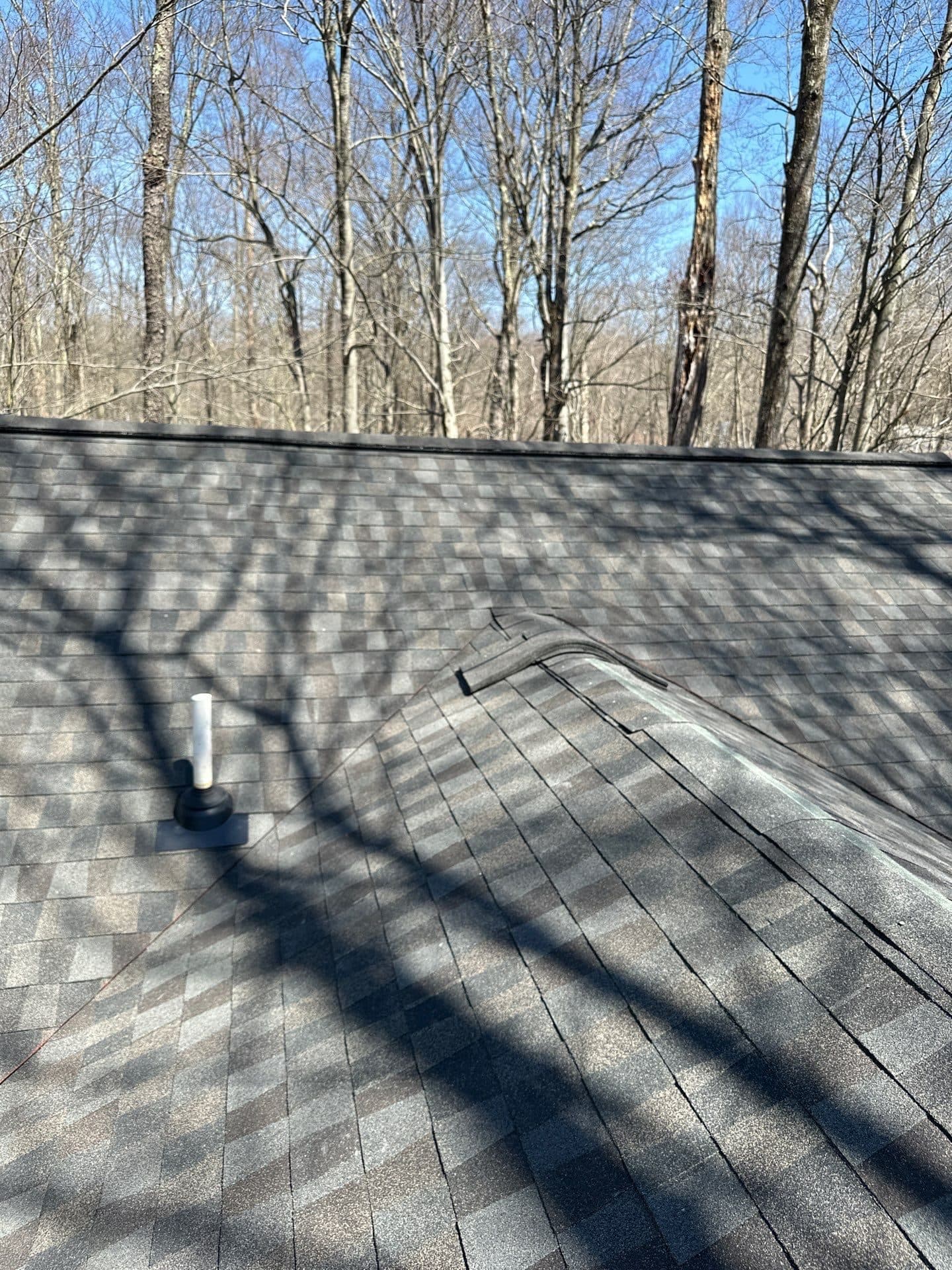 Roofing project in Pocono Lake, PA (March 2026) by Ten Point Roofing — photo 2 of 4